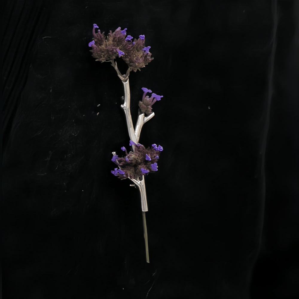 Brosch med grenformad blominsats