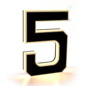 Lighted House Numbers for Outside