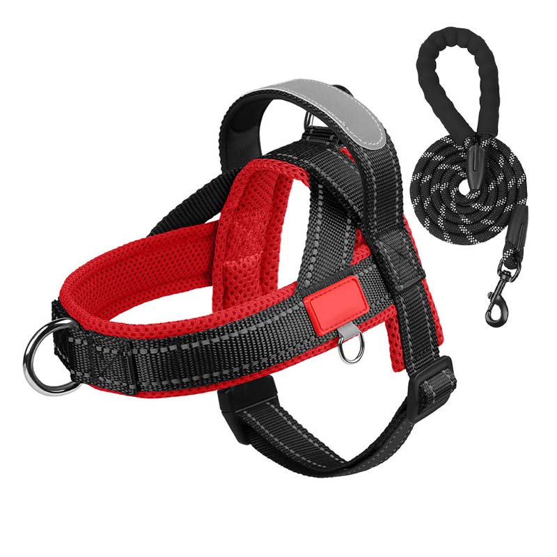Hundegeschirr + kostenloses Band 1,5 m x 1,0 m