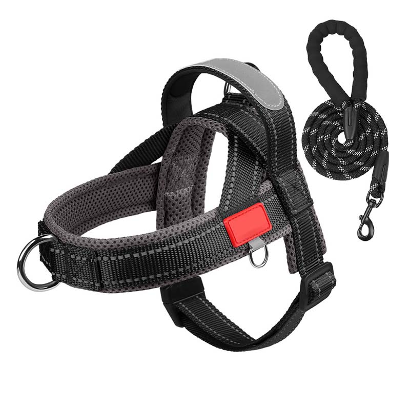 Hundegeschirr + kostenloses Band 1,5 m x 1,0 m