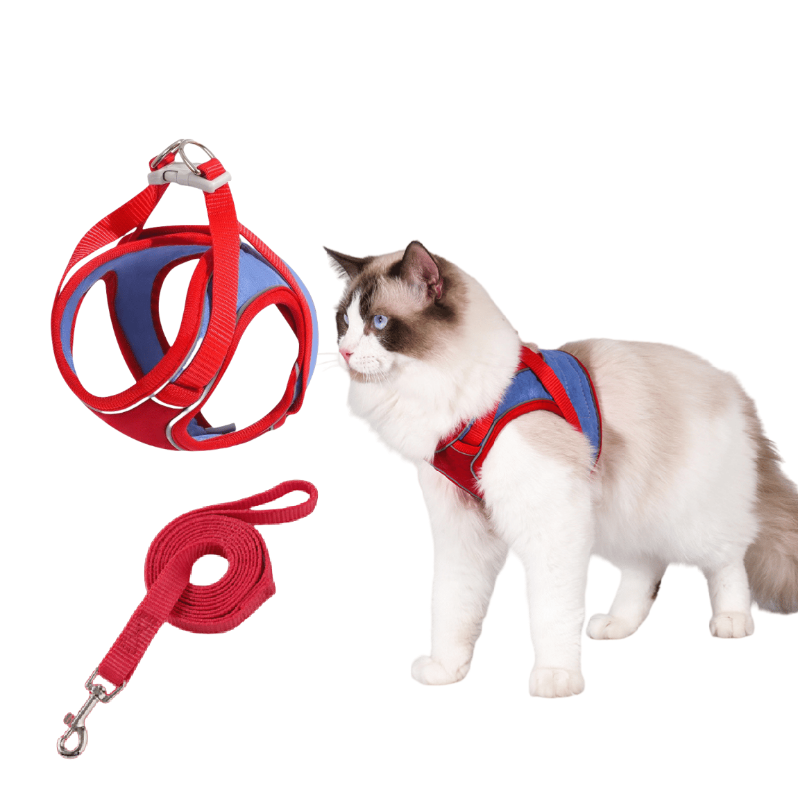 Kattsele och koppel