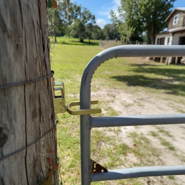 Omedelbart låsande grindlås – Förhindrar att nötkreatur, får och hästar rymmer