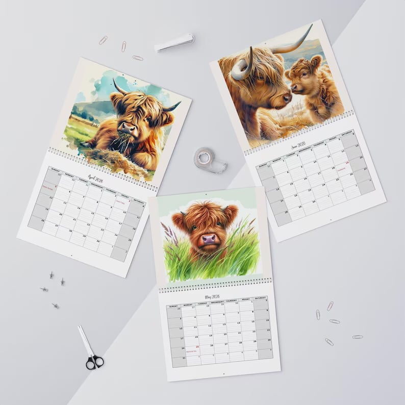 🏆Snabba rea⚡ Över 10 000 sålda! Nästan slut - 🐮Highland Cow-kalender 2026 📅