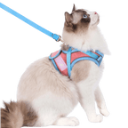 Kattsele och koppel