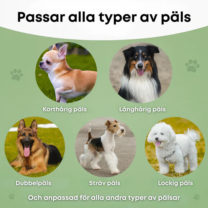 🐶 Hundebørste som stopper røyting og holder hjemmet rent 🦴