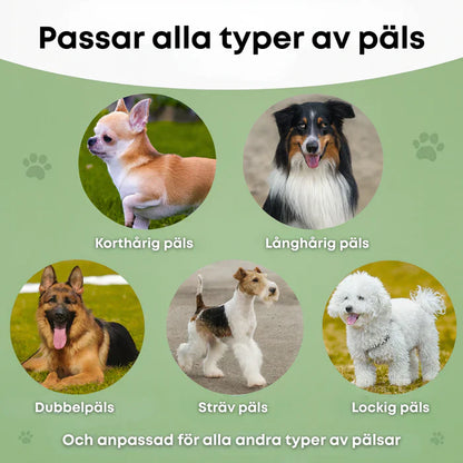 🐶 Hundebørste som stopper røyting og holder hjemmet rent 🦴