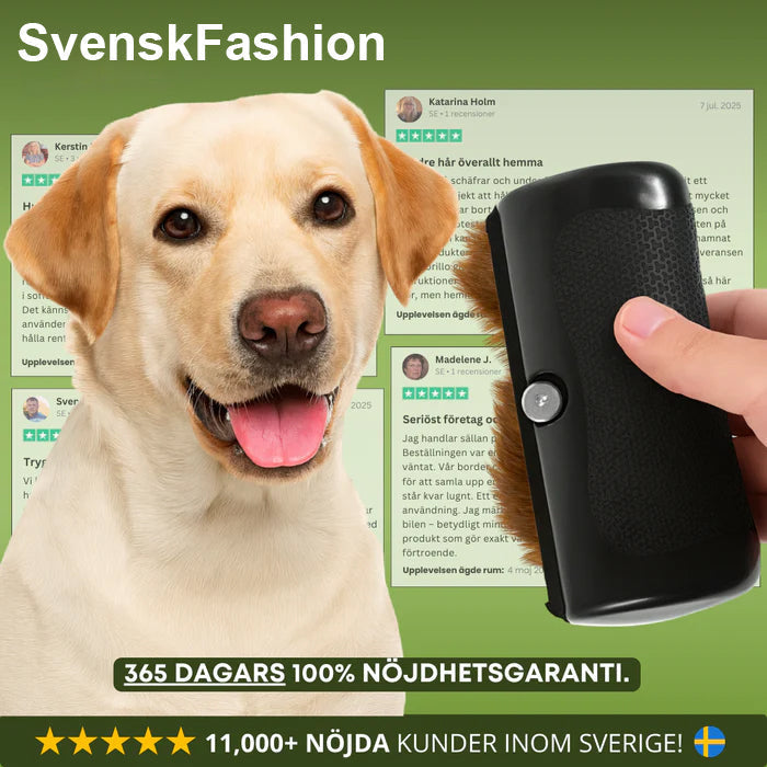 🐶 Hundebørste som stopper røyting og holder hjemmet rent 🦴