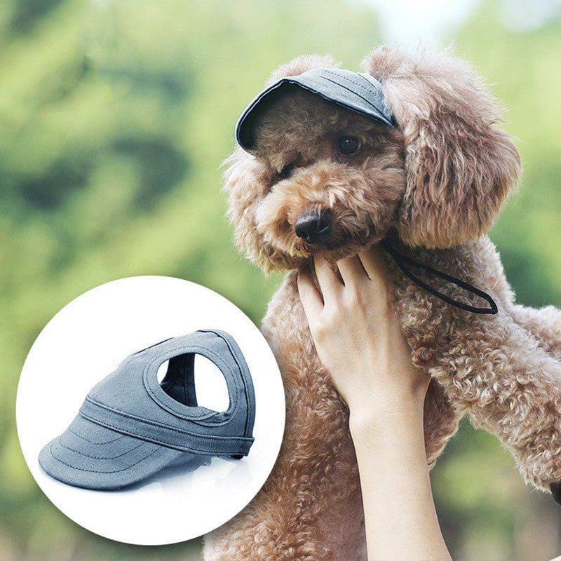 Hatt til hund
