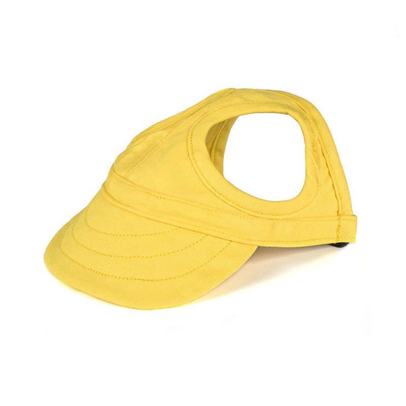 Hatt til hund