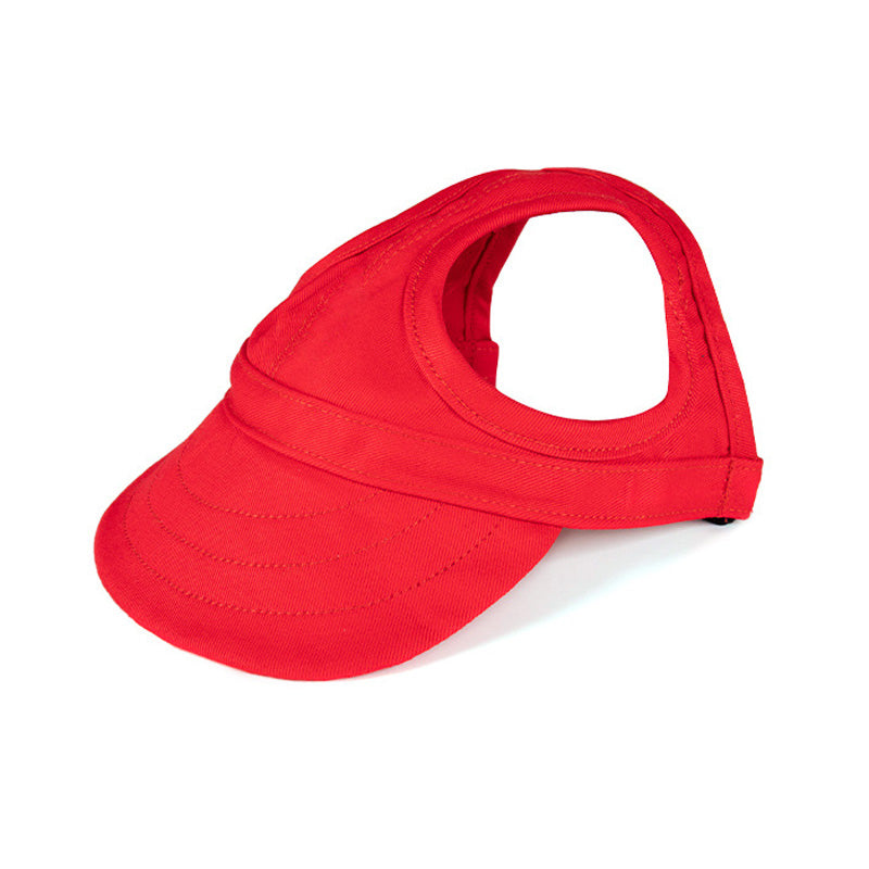 Hatt til hund