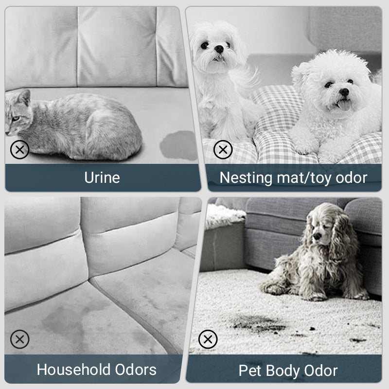 🐱🐶Spej för att eliminera lukt från husdjur🍃