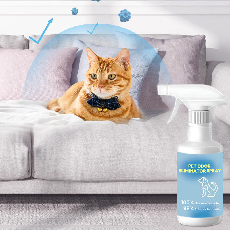 🐱🐶Spej för att eliminera lukt från husdjur🍃