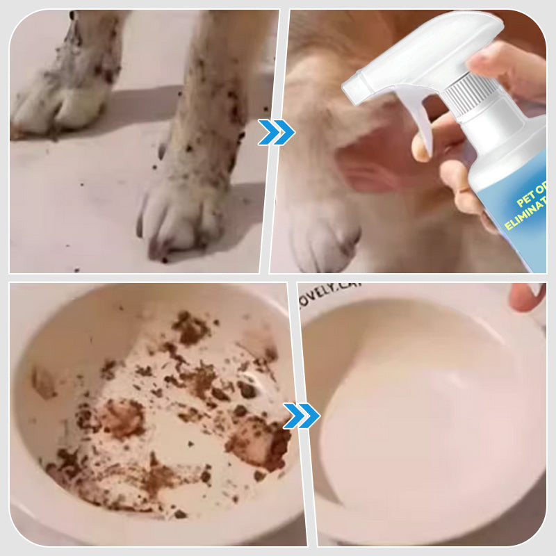 🐱🐶Spej för att eliminera lukt från husdjur🍃